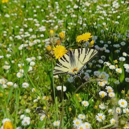 Ferienhaus Casa Borgo Fonte