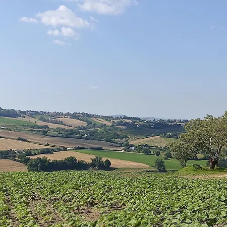 Casa Borgo Fonte Castelleone di Suasa