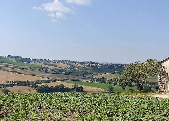 Casa Borgo Fonte Castelleone di Suasa